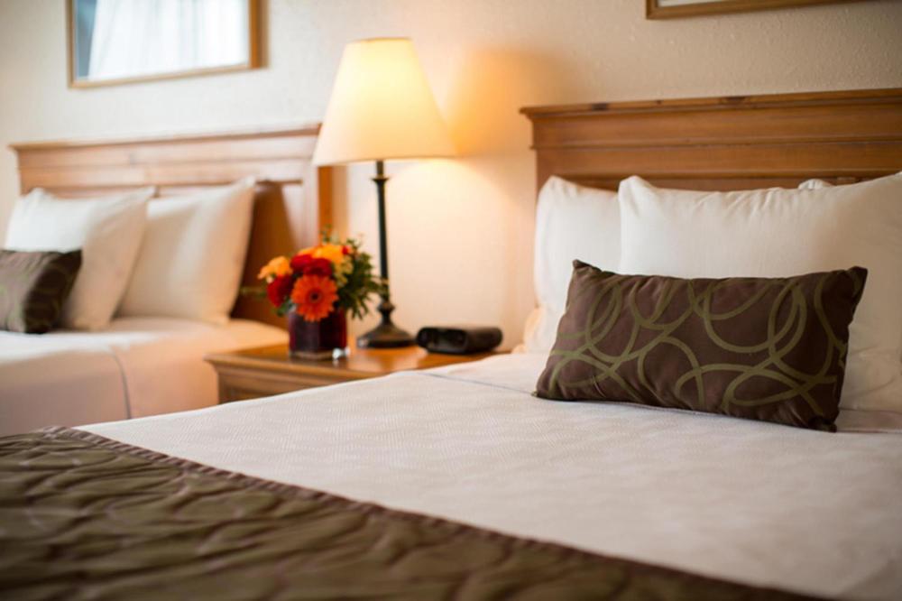 Deluxe Queen Room with Two Queen Beds interior